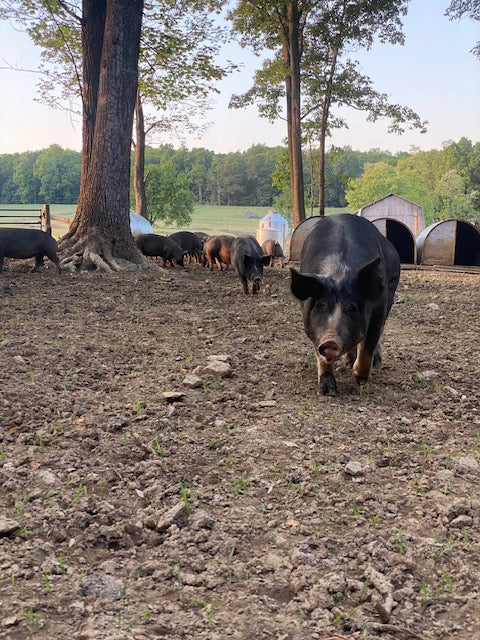 Woodlands raised Berkshire Pork Shares **Deposit Only**