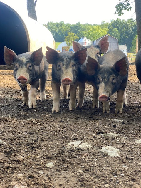 Woodlands raised Berkshire Pork Shares **Deposit Only**