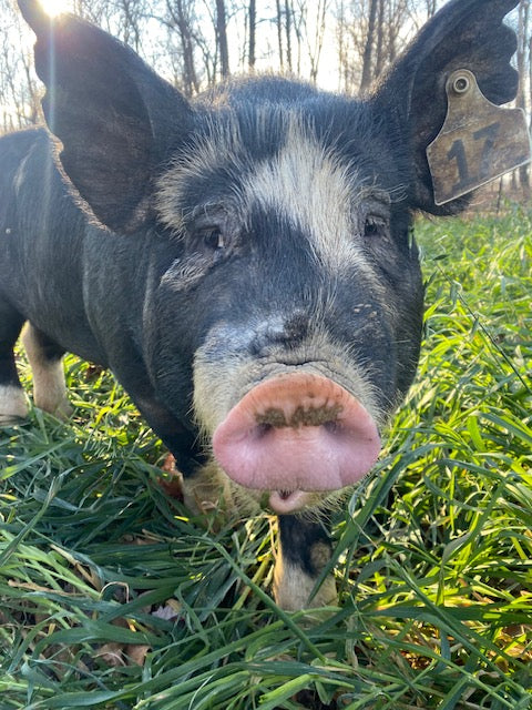 Woodlands raised Berkshire Pork Shares **Deposit Only**